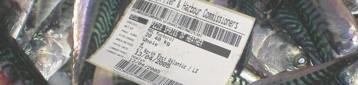 Trace Fish Label